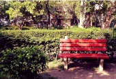 IIP Online Student Photography